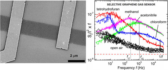nanotube-bridged nanowire