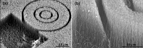 Concentric cylindrical structures patterned in carbon nanotube forest