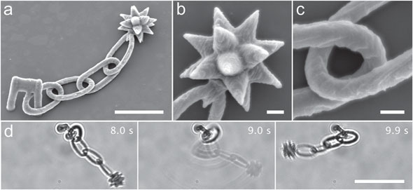 Multiphoton lithography of a partially-constrained microstructure fabricated from a BSA protogel