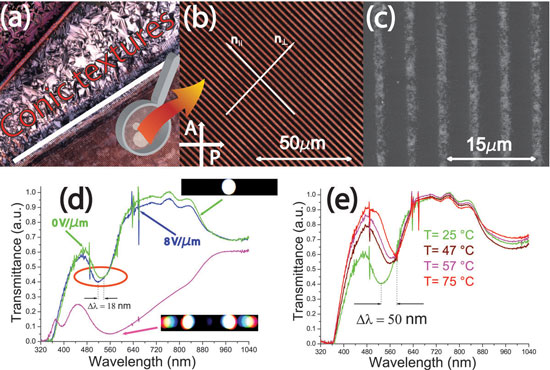polymeric template infiltrated with CLC and GNPs