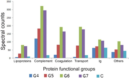 Total spectral counts from proteins in each functional category adsorbed to dendrimers of varying generation number