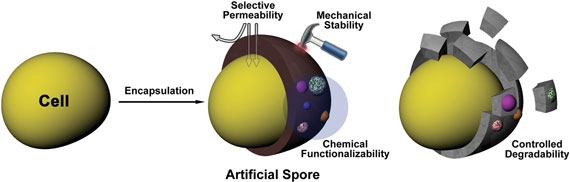 Artificial spores