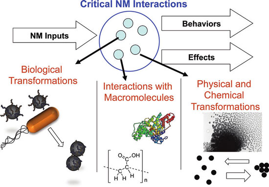 Nanomaterial transformations