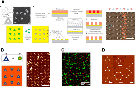 Nanopatterns generated by combining bottom-up DNA nanoarchitectures and physical top-down routes