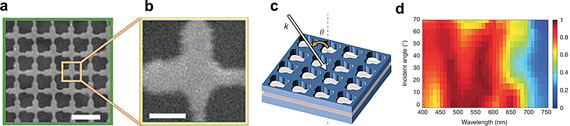 Plasmonic nanostructures for omnidirectional absorption