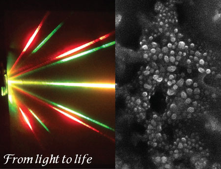 Color diffraction pattern (left) and ESEM picture of a coiled DNA helices