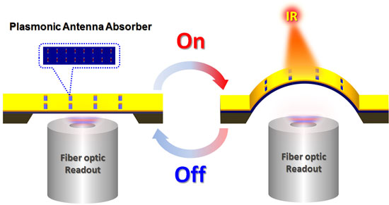 A schematic describing plasmonically enhanced thermomechanical detection of infrared radiation