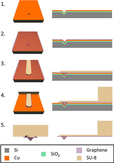 Fabrication process scheme for graphene-coated AFM probes