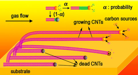 Illustration of tip-growth of ultralong CNTs
