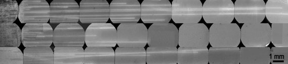 Mosaic scanning electron microscopy (SEM) images of ultralong CNTs