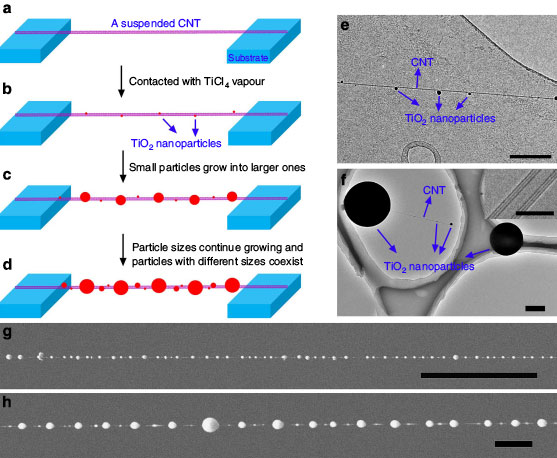 carbon nanotubes with deposited titanium dioxide nanoparticles