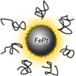 nanoparticle