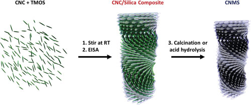 Synthesis of chiral nematic mesoporous silica from CNCs and TMOS