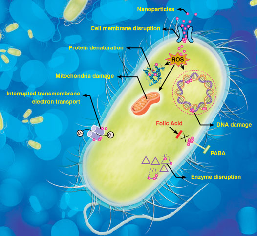 Probable mechanisms of nanomaterial based antibacterial solutions