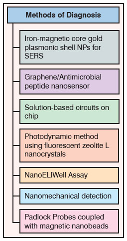 Nanotechnology-enabled approaches for diagnosis of superbugs