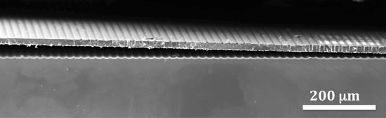 flexible silicon wafer