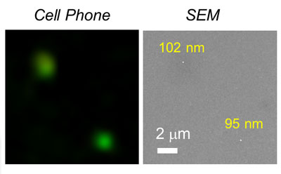 Imaging of 100 nm fluorescent particles on the cell phone (left) and a corresponding SEM image