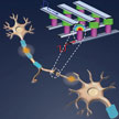 synaptic_computing