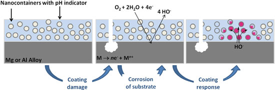 Scheme of pH sensing response from coating