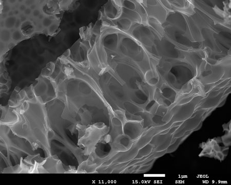 A scanning electron microscope (SEM) image of the carbon foam