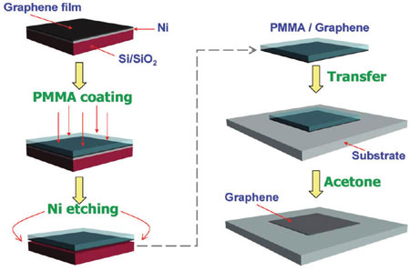 transfer process of CVD-graphene onto transparent substrate