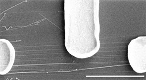 electrodes connected to group of nanowires
