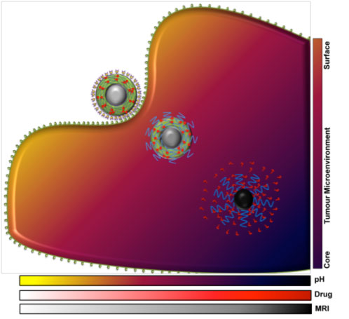 MRI visual order-disorder nanostructure for cancer nanomedicine