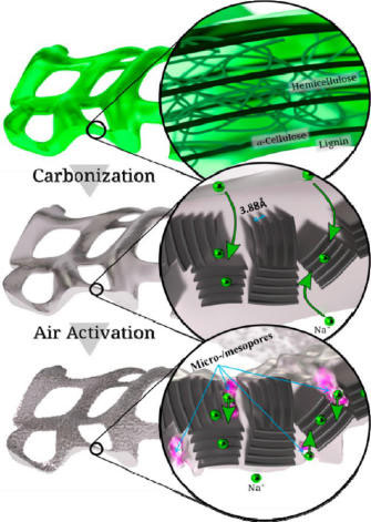 structure changes of peat moss cell walls during carbonization and activation
