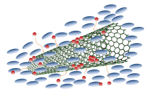 trapping process of a carbon nanotube embedded in a liquid crystal