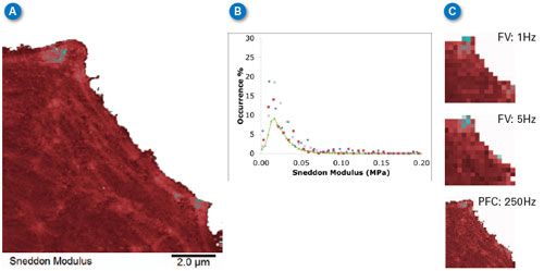 Comparison of Sneddon modulus values obtained with PeakForce QNM and force volume at two different ramp rates