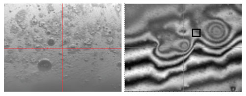Intensity image of CD ROM surface with contaminants