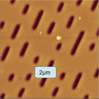 High-resolution NanoLens AFM image of CD surface, including data bits