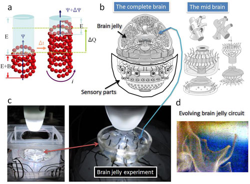 artificial brain architecture