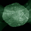 nanoparticles