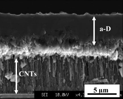 Carbon nanomattress