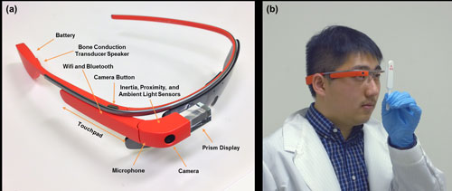 Labeled Google Glass and demonstration of imaging a rapid diagnostic test