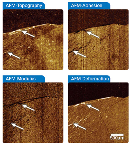 Simultaneously recorded quantitative nanomechanical AFM data of a single and double layer of the graphene flake
