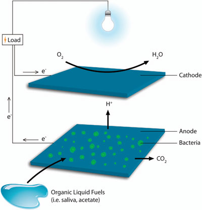 microbial fuel cell process diagram