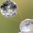 nanocellulose_hydrogel