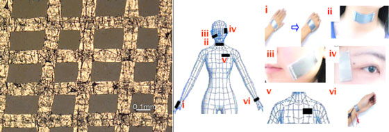 Left: Optical photograph of a GWFs-PDMS-tape composite film. Right: Photo images of GWFs-PDMS-tape at various positions