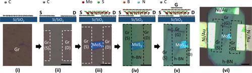 fabrication process steps for an all 2D transistor