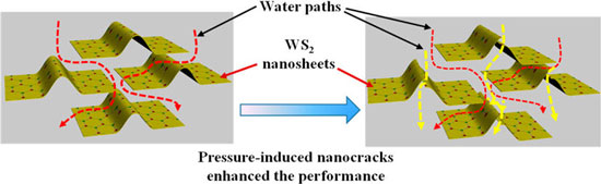 nanofiltration membrane