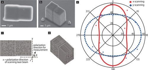 Alignment manipulation of SWCNTs in a single microstructure