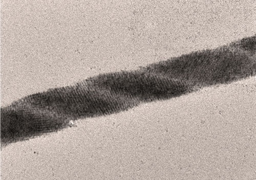 Transmission electron micrograph of an individual self-assembled helix