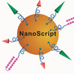 nanoparticle
