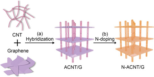 onceptual scheme of the design of N-ACNT/G hybrids with graphene and aligned CNTs as building blocks