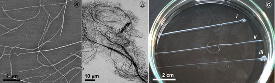 Composite nanofibers