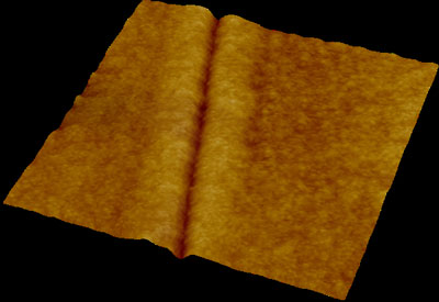 AFM topographical 3D pattern of a trench line