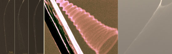 Various resonances observed in a singly clamped helical carbon nanowire