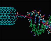 DNA_electronics_in_nanotechnology
